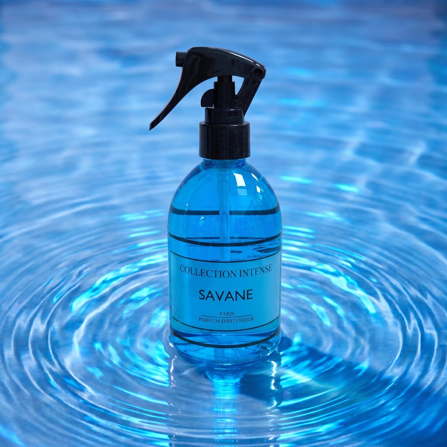 COLLECTION INTENSE SAVANE SPRAY PARFUM D'INTERIEUR 250ml